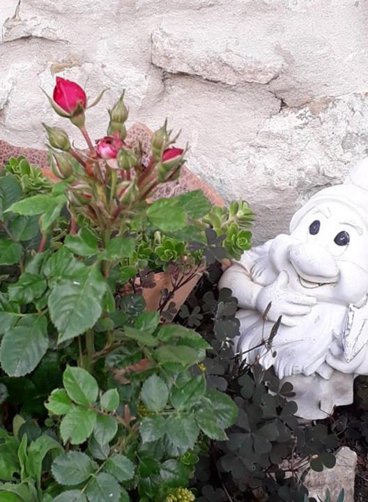 Agriturismo Grossola Castiglione dʼOrcia Dış mekan fotoğraf