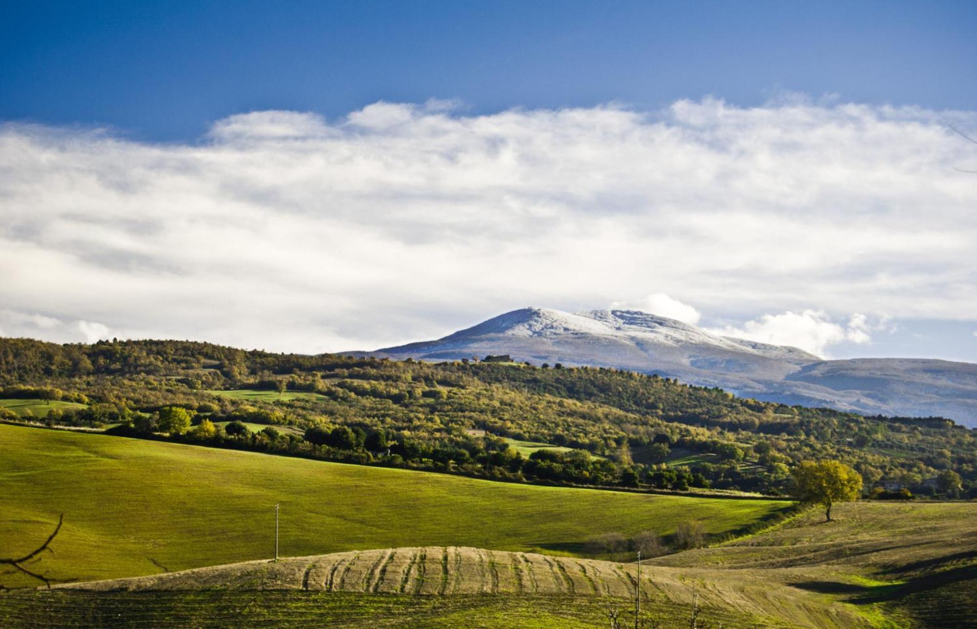 Agriturismo Grossola Castiglione dʼOrcia Dış mekan fotoğraf