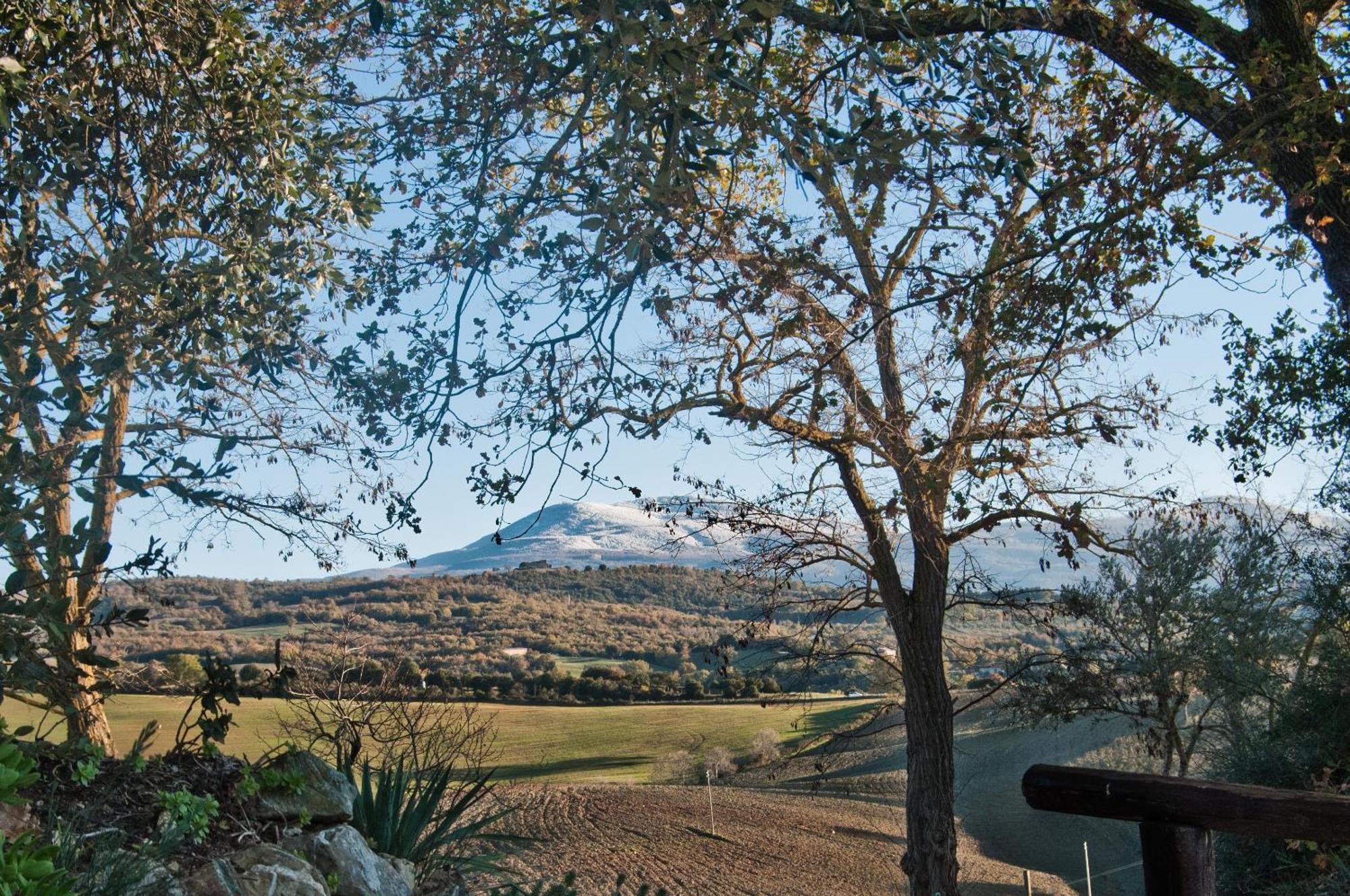 Agriturismo Grossola Castiglione dʼOrcia Dış mekan fotoğraf