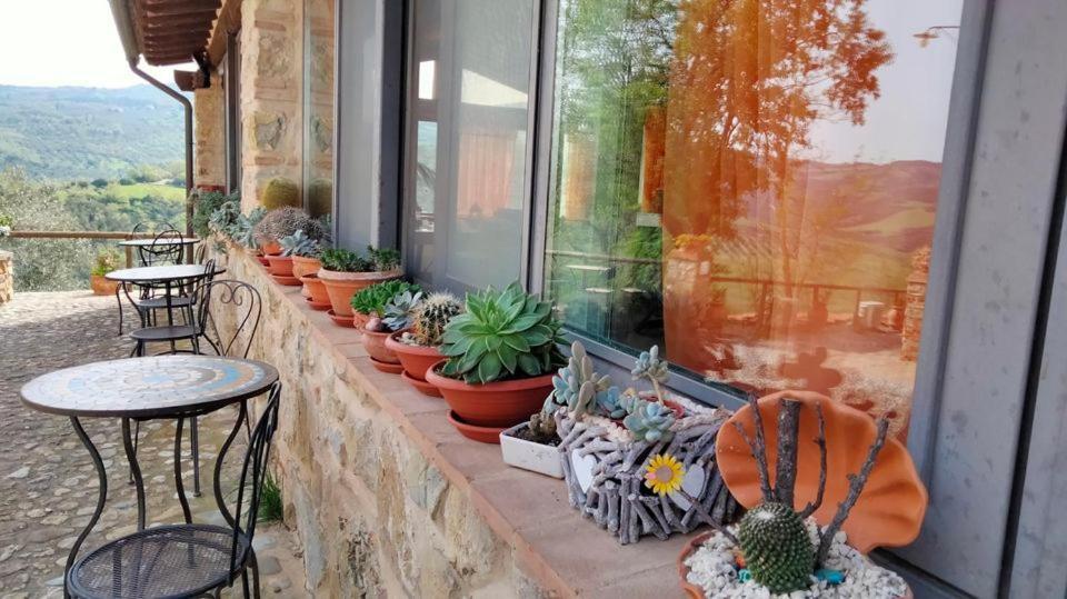 Agriturismo Grossola Castiglione dʼOrcia Dış mekan fotoğraf