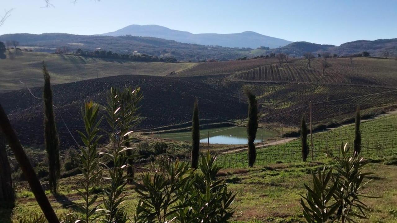 Agriturismo Grossola Castiglione dʼOrcia Dış mekan fotoğraf