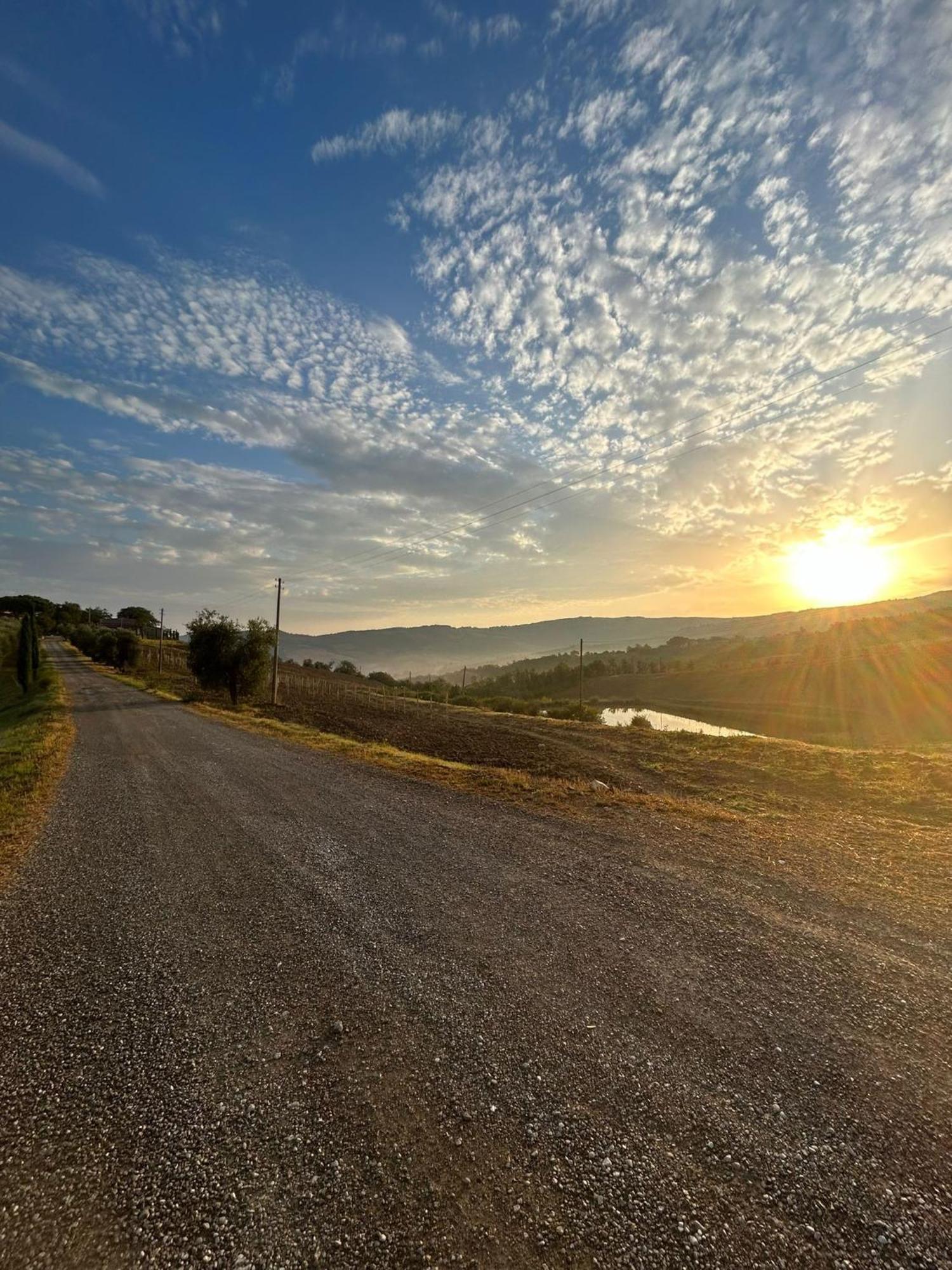 Agriturismo Grossola Castiglione dʼOrcia Dış mekan fotoğraf