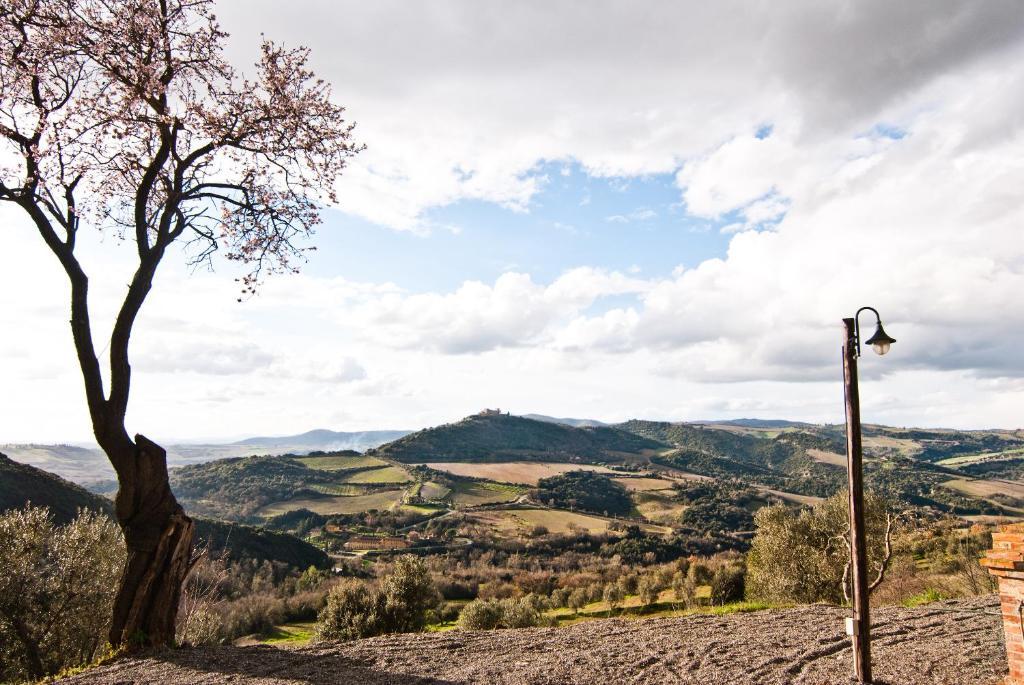Agriturismo Grossola Castiglione dʼOrcia Dış mekan fotoğraf