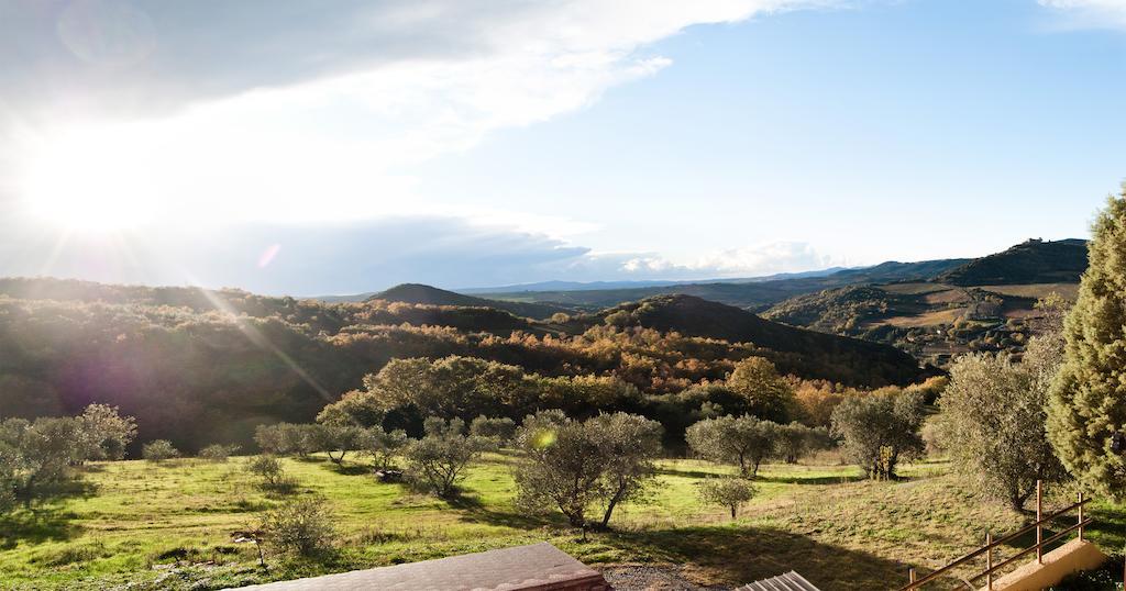 Agriturismo Grossola Castiglione dʼOrcia Dış mekan fotoğraf