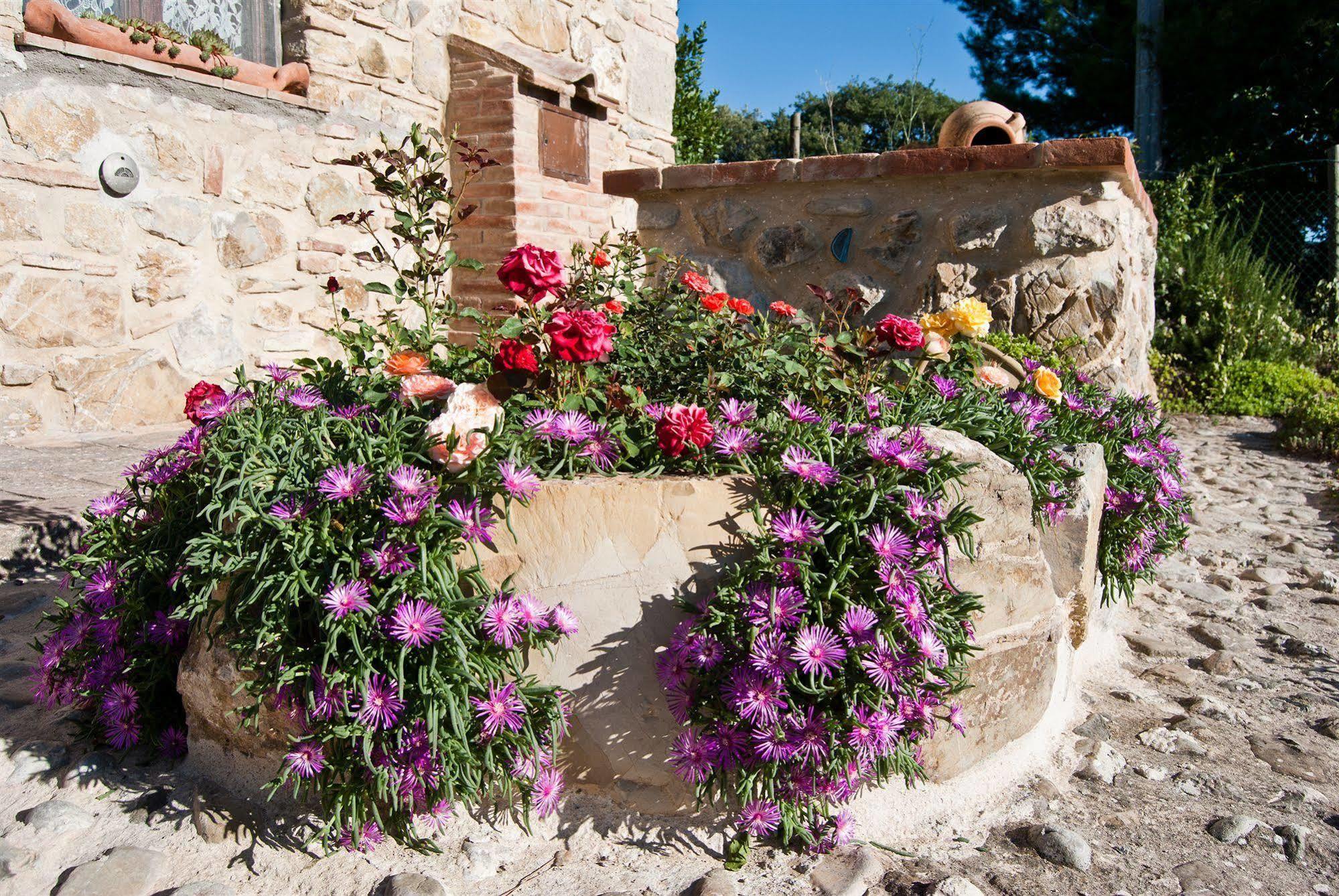 Agriturismo Grossola Castiglione dʼOrcia Dış mekan fotoğraf