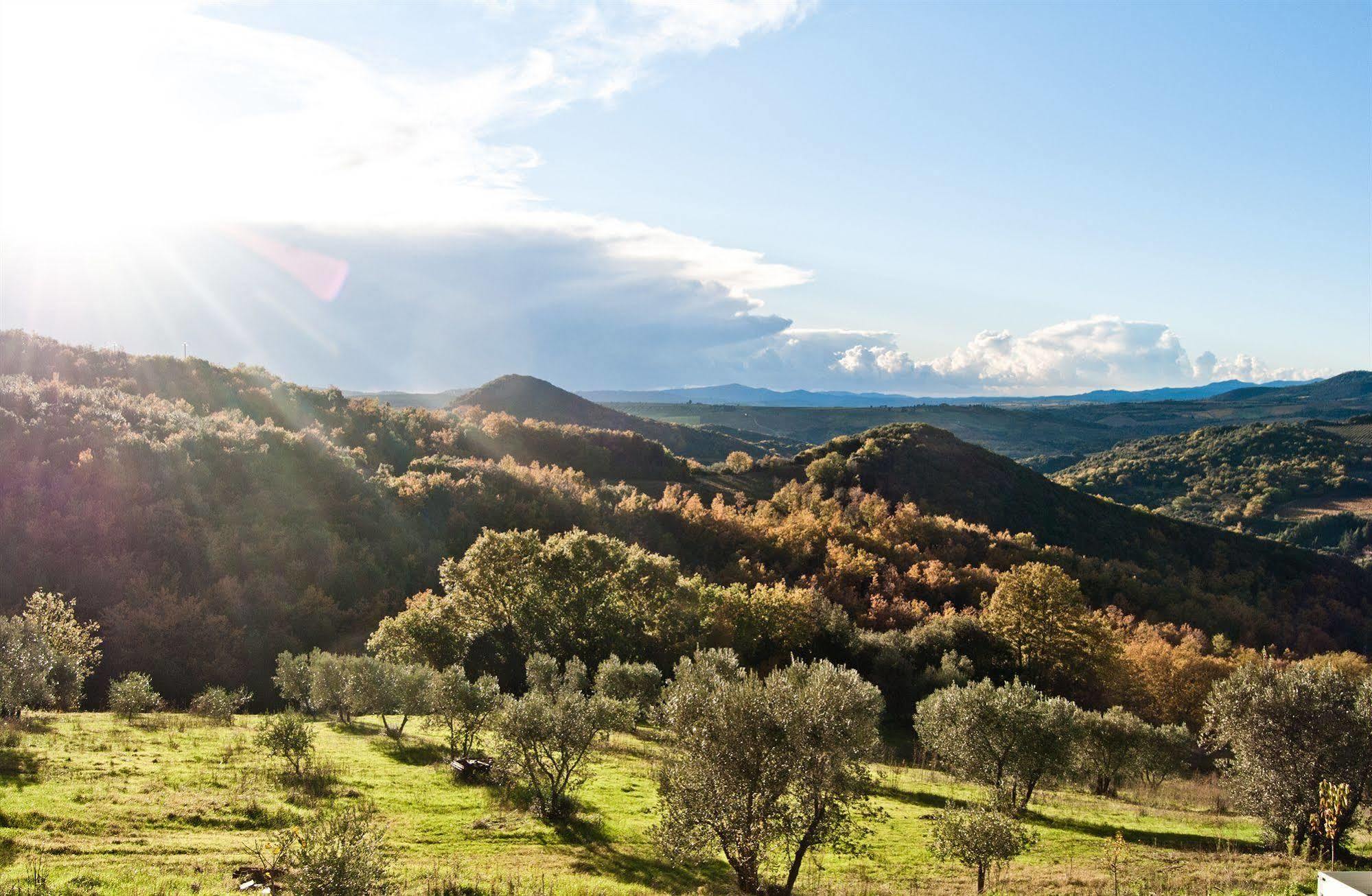 Agriturismo Grossola Castiglione dʼOrcia Dış mekan fotoğraf